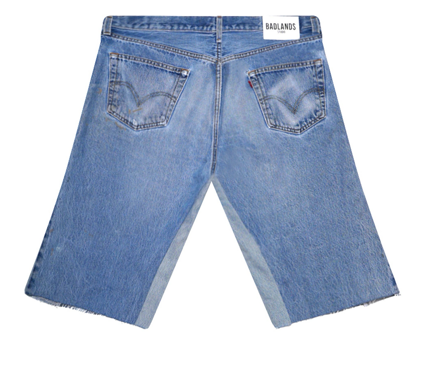 Carpenter Denim Jorts